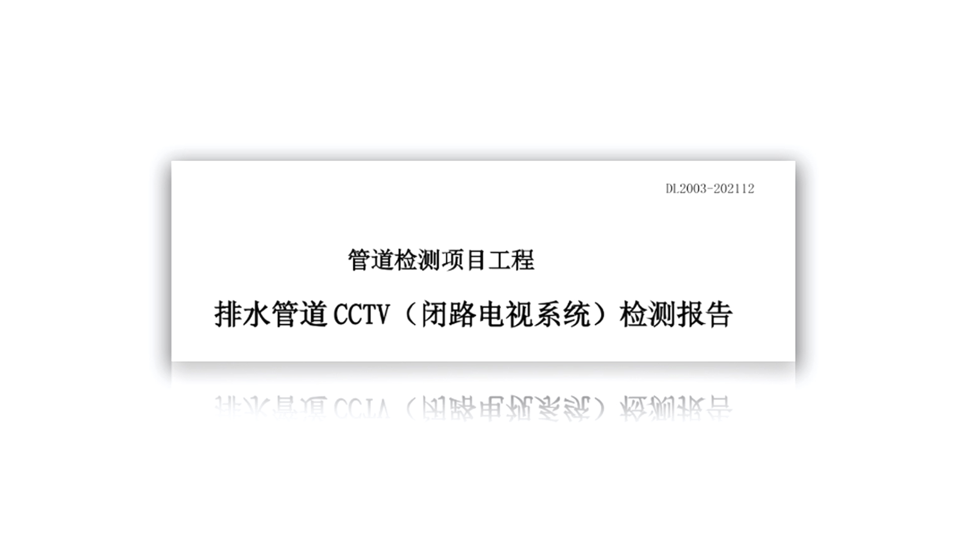 软件报告模板